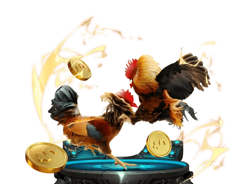 Khuyến mãi đặc biệt cho các sự kiện thể thao lớn